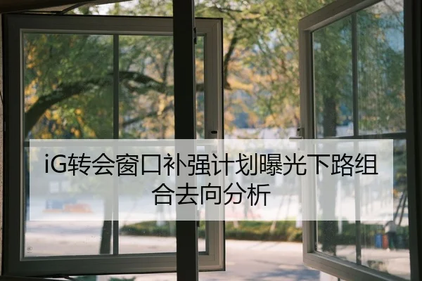 iG转会窗口补强计划曝光下路组合去向分析